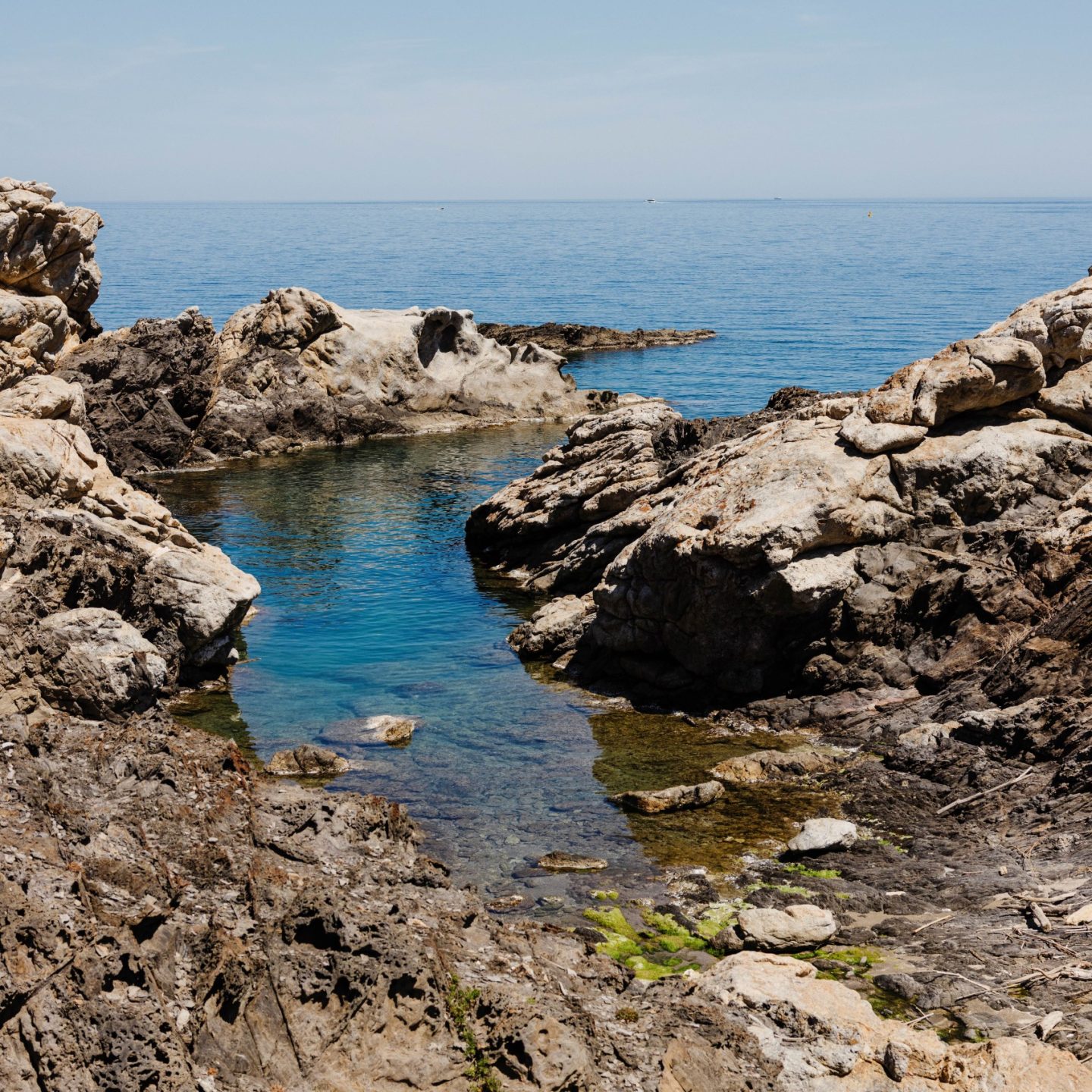 66e58c52-2730-43d2-9bb7-2fa503fa60d2.jpg-web